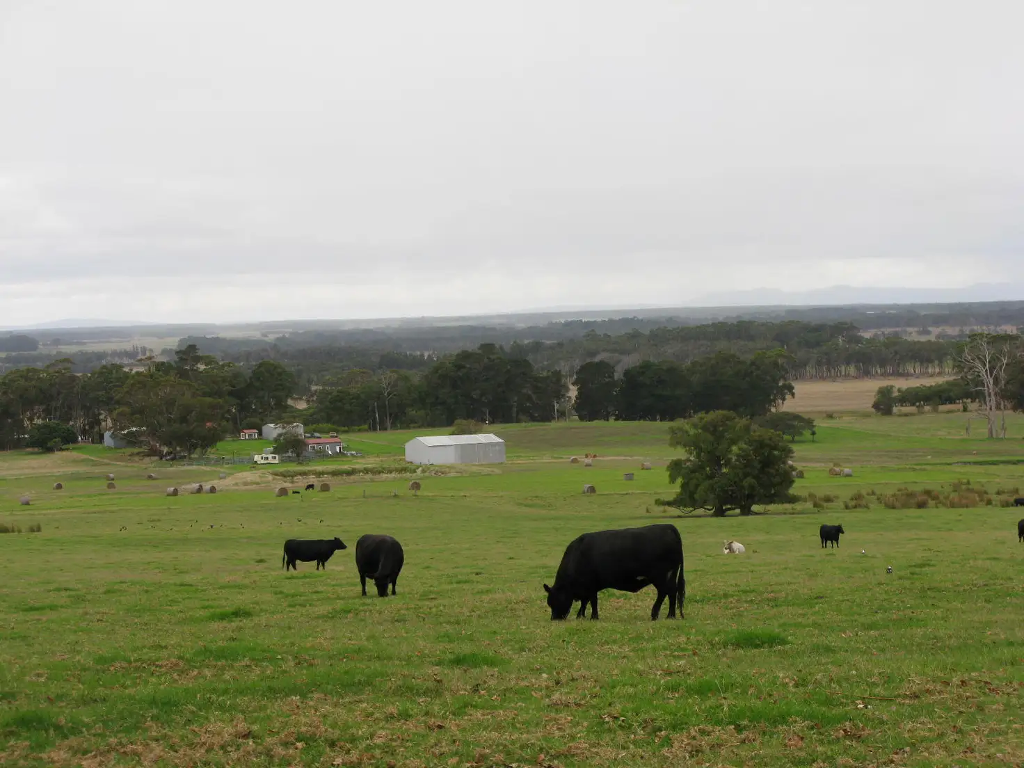 Main view of Homely rural property listing, 397 Meanwood Road, Kronkup WA 6330