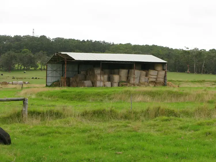 Fifth view of Homely rural property listing, 397 Meanwood Road, Kronkup WA 6330