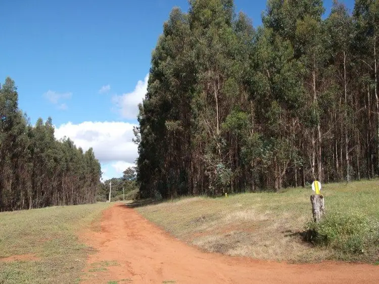 100 Hodgsons Road, Manjimup WA 6258