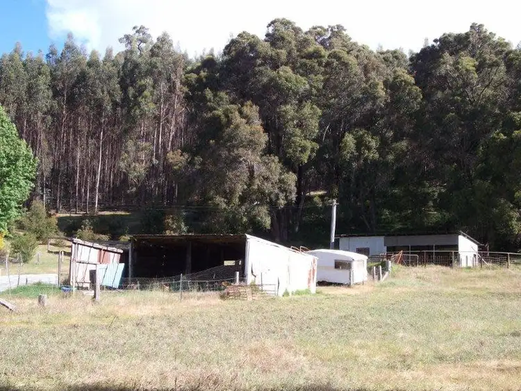 Seventh view of Homely rural property listing, 100 Hodgsons Road, Manjimup WA 6258
