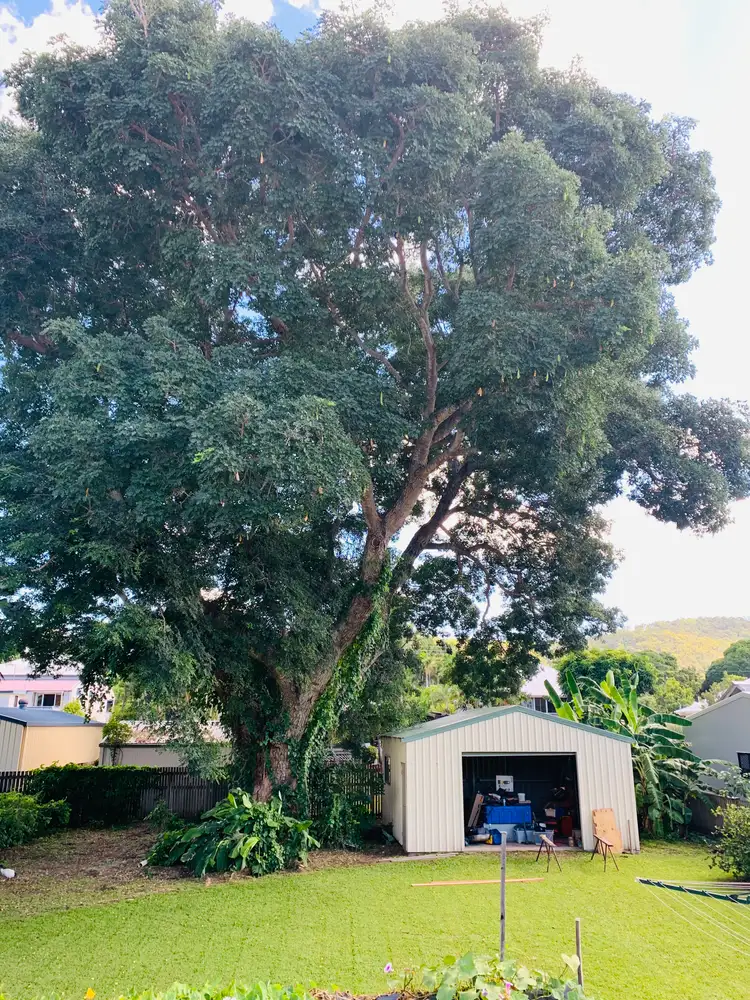 Second view of Homely house listing, 147 Francis Street, West End QLD 4810