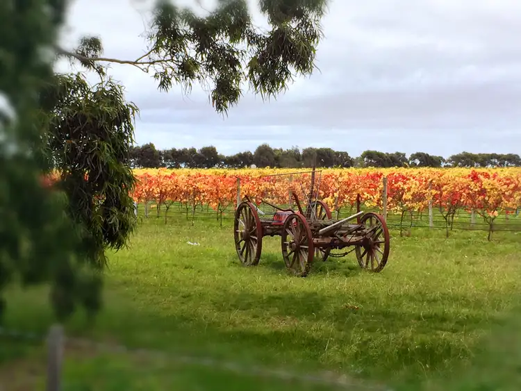 Third view of Homely land listing, 126 Oakdean Boulevard, Ocean Grove VIC 3226
