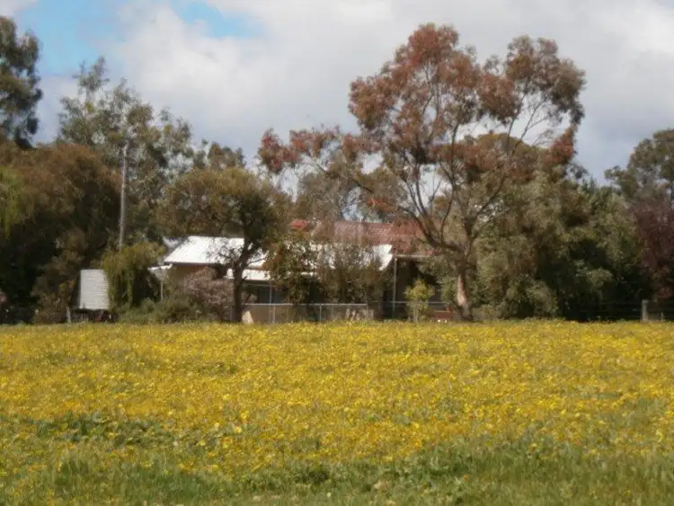Main view of Homely rural property listing, 336 Greenfields Rd, Boyup Brook WA 6244
