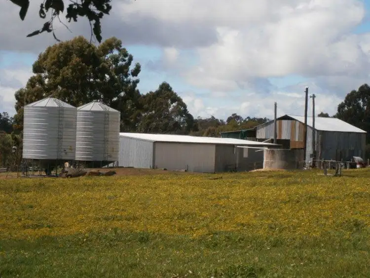 Fourth view of Homely rural property listing, 336 Greenfields Rd, Boyup Brook WA 6244