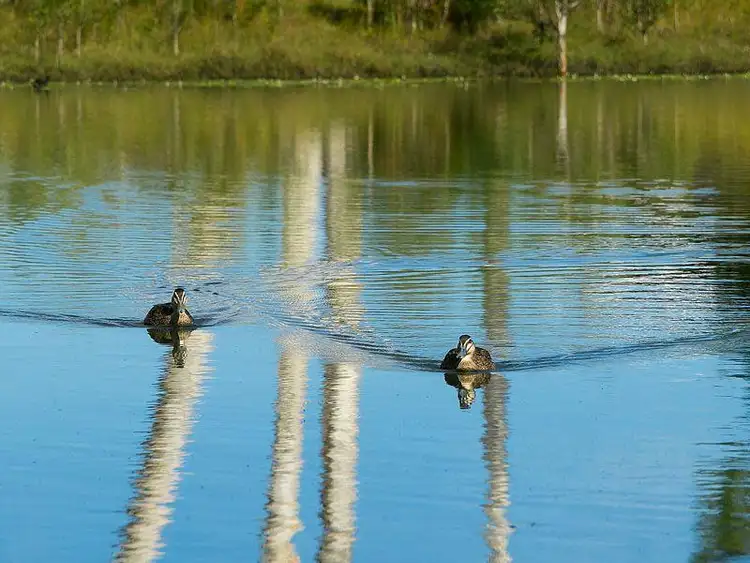 Fourth view of Homely land listing, 38 Sirenia Drive, Burrum Heads QLD 4659