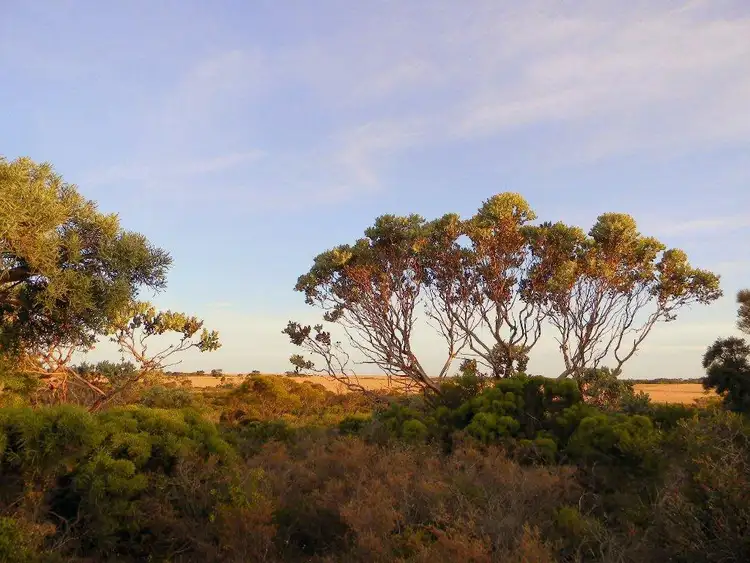 56 Long Pool Rd, Hopetoun WA 6348