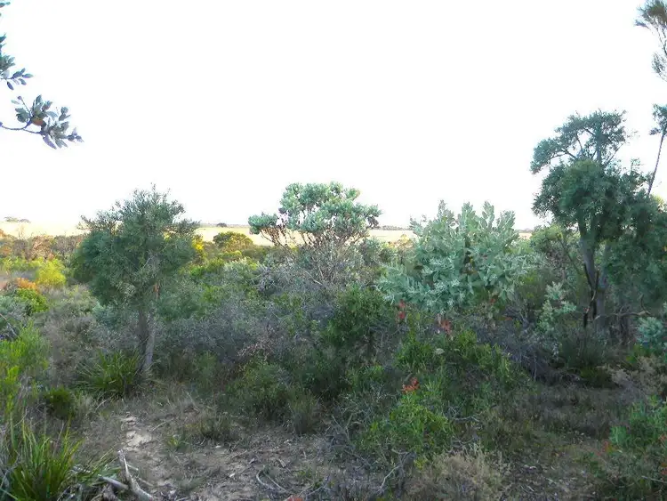 Sixth view of Homely land listing, 56 Long Pool Rd, Hopetoun WA 6348