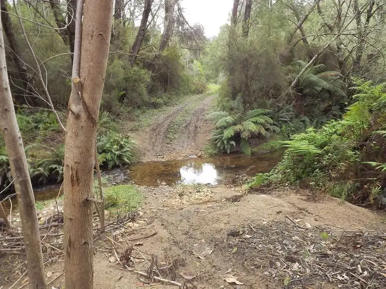 Main view of Homely rural property listing, 1005 West Road, Orbost VIC 3888