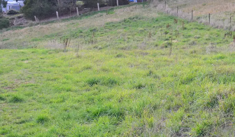 Second view of Homely land listing, 12 Cooper Street, Omeo VIC 3898