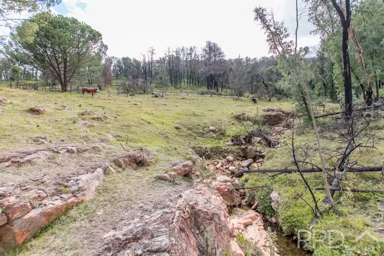 Sixth view of Homely land listing, 3889 Snowy Mountains Highway, Talbingo NSW 2720