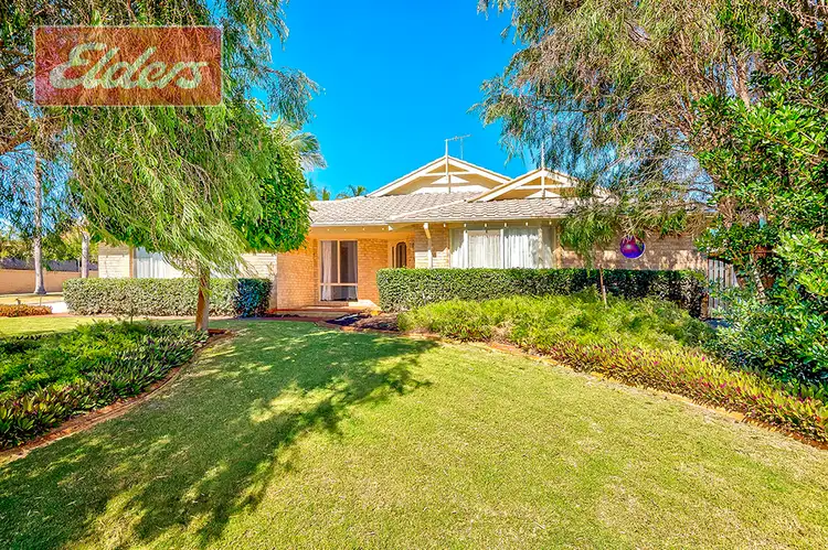 Main view of Homely house listing, 11 Challenger Rise, Australind WA 6233