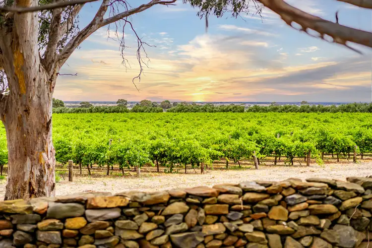 664 Alexandrina Road, Strathalbyn SA 5255