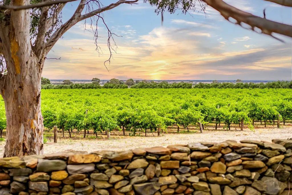 Main view of Homely rural property listing, 664 Alexandrina Road, Strathalbyn SA 5255
