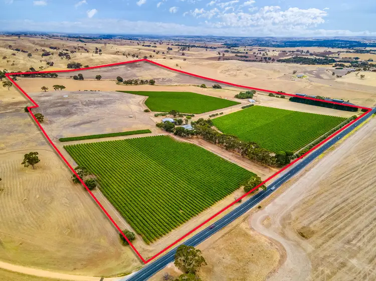 Third view of Homely rural property listing, 664 Alexandrina Road, Strathalbyn SA 5255