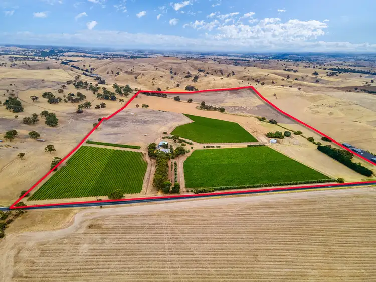 Fifth view of Homely rural property listing, 664 Alexandrina Road, Strathalbyn SA 5255