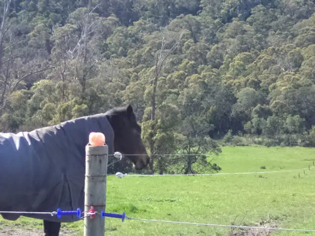 Seventh view of Homely rural property listing, Sidmouth Farm Batman Highway, Sidmouth TAS 7270