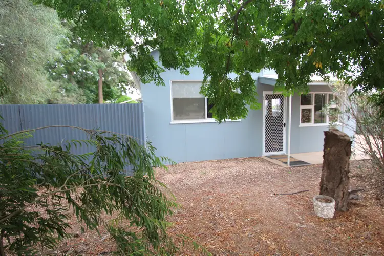 20271 Renmark Avenue, Renmark SA 5341