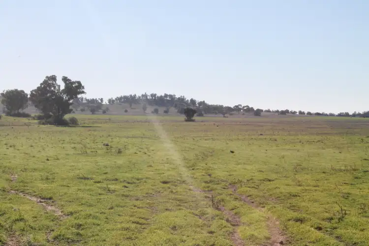 Seventh view of Homely rural property listing, Address available on request