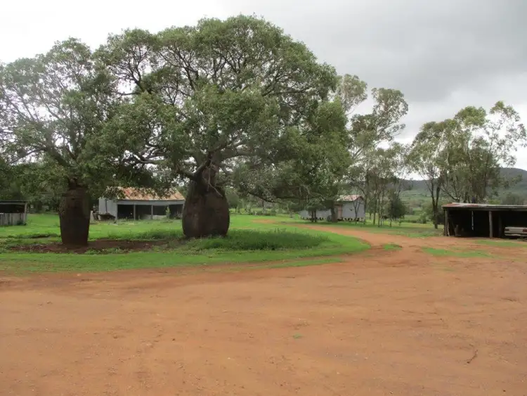 Fourth view of Homely rural property listing, 31 ACRES LIFESTYLE PROPERTY, Bell QLD 4408