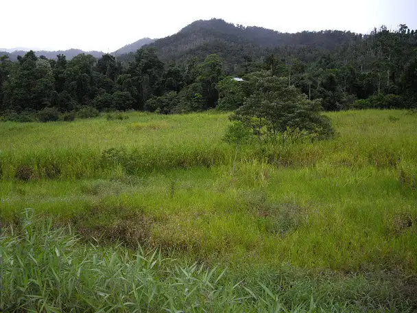 Fifth view of Homely rural property listing, Address available on request