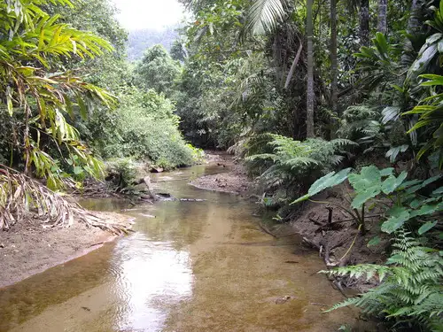 Main view of Homely rural property listing, Address available on request