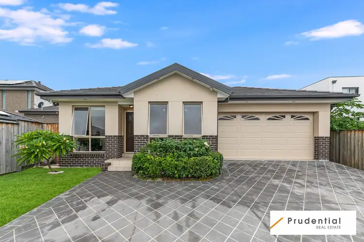 41 Pendergast Avenue, Minto NSW 2566