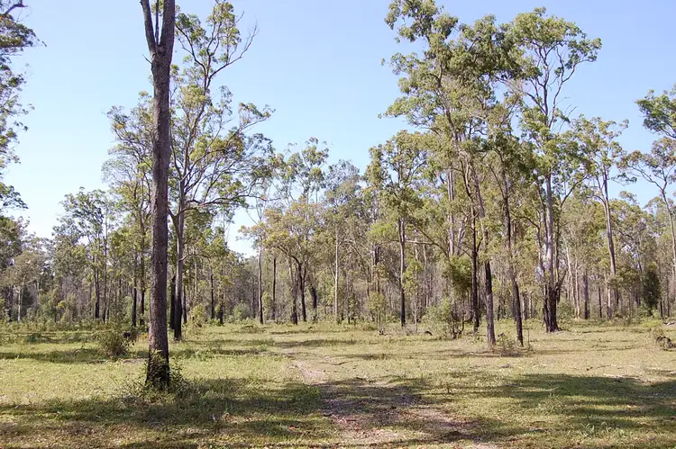 Third view of Homely rural property listing, 55 Mothersoles Road, Ellangowan NSW 2470