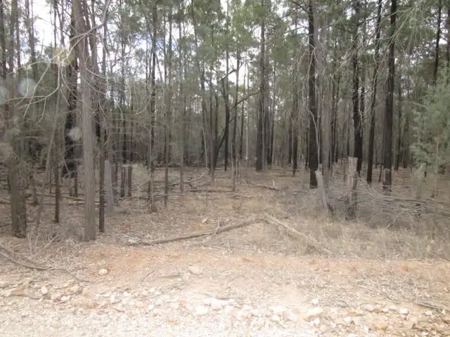 LOT 1 WIEAMBILLA ROAD, Wieambilla QLD 4413