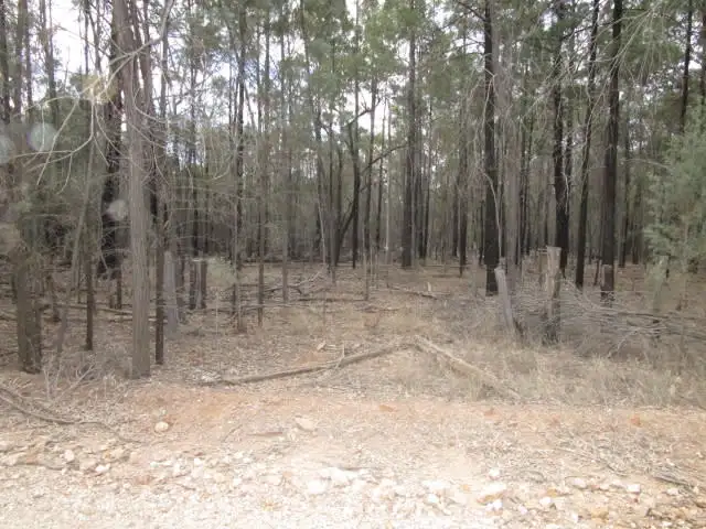 Main view of Homely rural property listing, LOT 1 WIEAMBILLA ROAD, Wieambilla QLD 4413