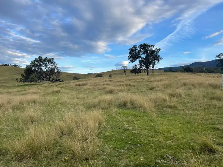 3535 Snowy Mtns Hwy, Bemboka NSW 2550