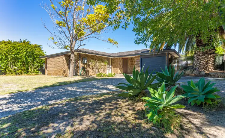 Main view of Homely house listing, 39 Bottlebrush Drive, Morley WA 6062