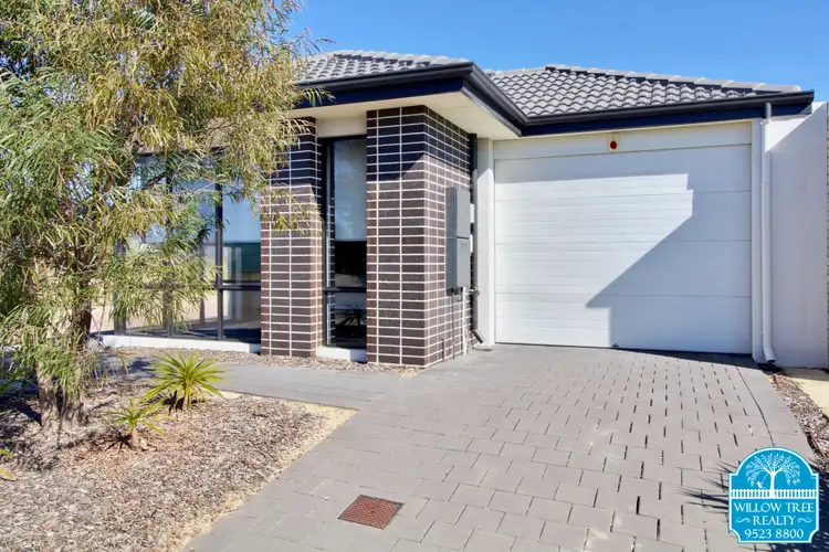 31 Abington Avenue, Baldivis WA 6171
