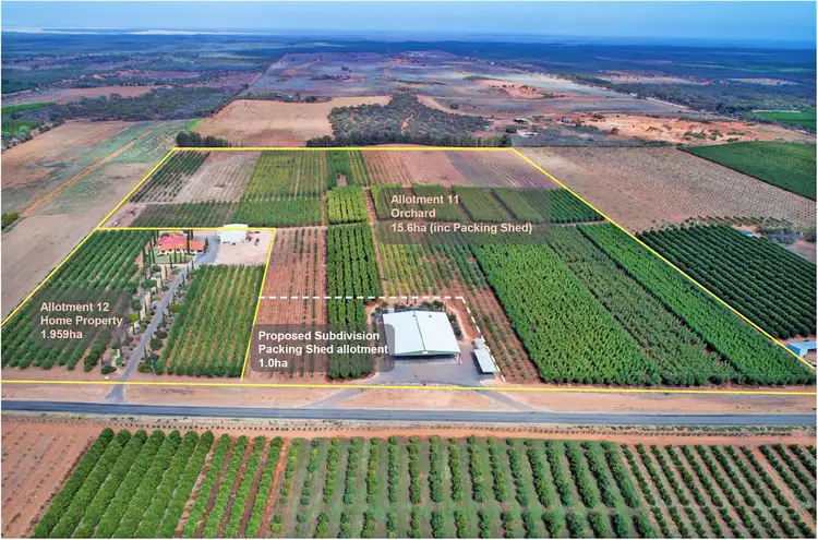 406 Government Road, Renmark SA 5341