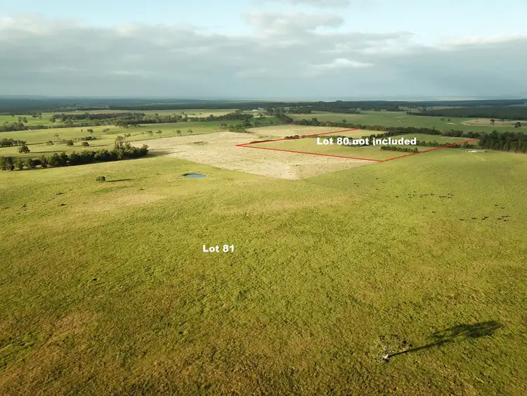 Fourth view of Homely rural property listing, Lot 81 Healy Road, Narrikup WA 6326