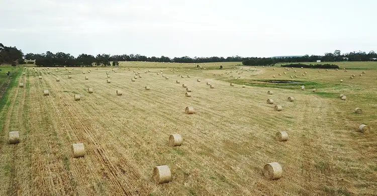 Sixth view of Homely rural property listing, Lot 81 Healy Road, Narrikup WA 6326