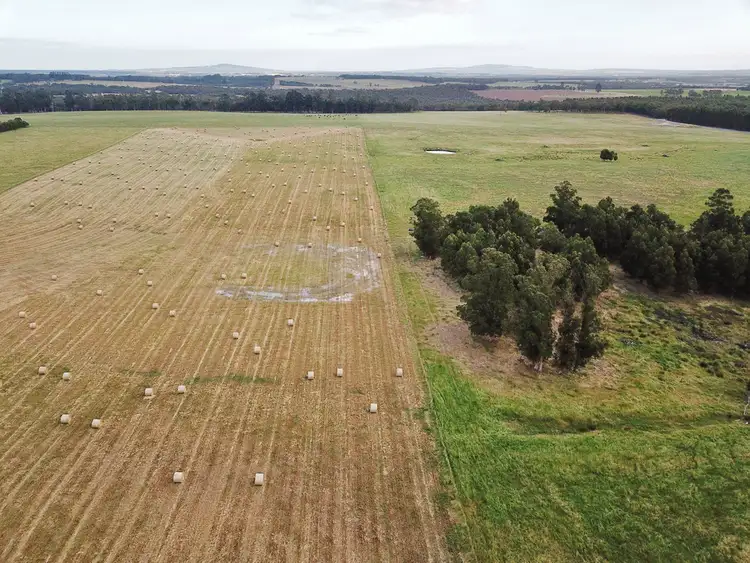 Seventh view of Homely rural property listing, Lot 81 Healy Road, Narrikup WA 6326