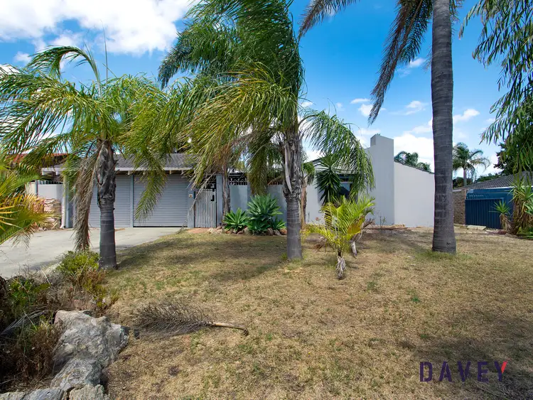 Fifth view of Homely house listing, 16 Northumberland Avenue, Alexander Heights WA 6064