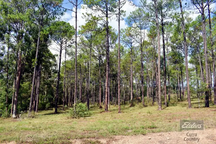 Lot 568 Arborcrescent Road, Glenwood QLD 4570