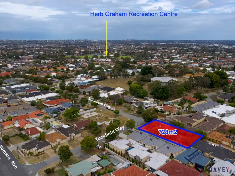 51 Tuckfield Way, Nollamara WA 6061