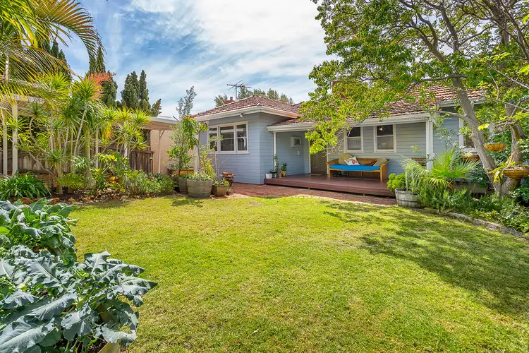 168 Wilding St, Doubleview WA 6018