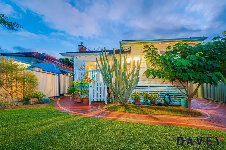 219 Wilding Street, Doubleview WA 6018