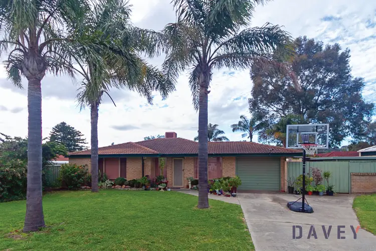 6 Kostas Close, Hocking WA 6065