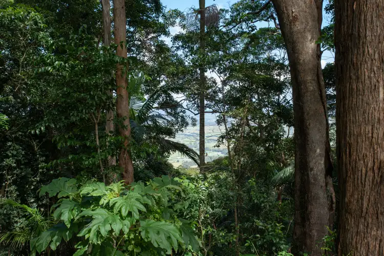 Fifth view of Homely house listing, 28 Manitzky Road, Tamborine Mountain QLD 4272