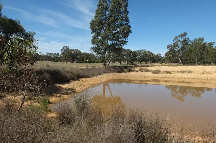 CA19 Sunraysia Highway, Avoca VIC 3467