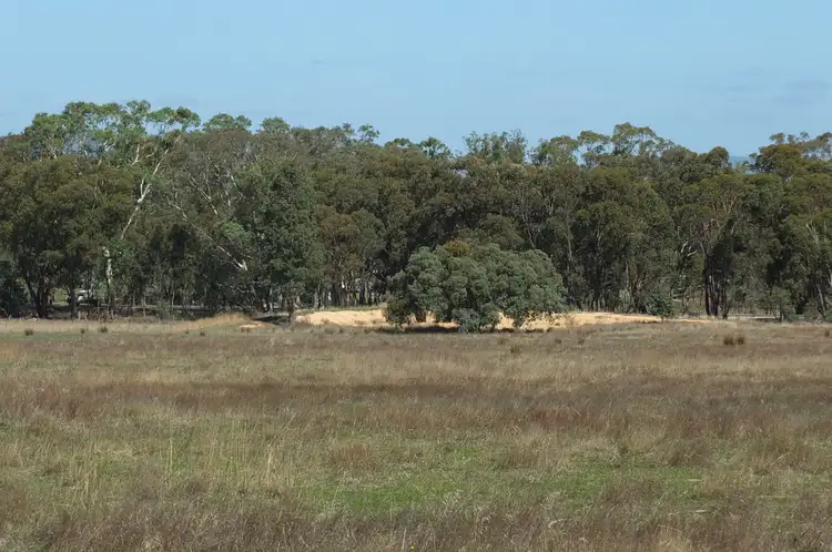 Sixth view of Homely rural property listing, CA19 Sunraysia Highway, Avoca VIC 3467