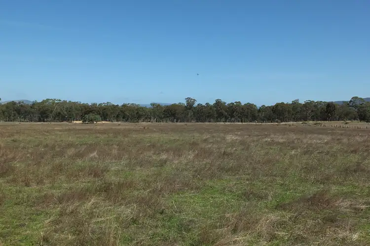 Seventh view of Homely rural property listing, CA19 Sunraysia Highway, Avoca VIC 3467