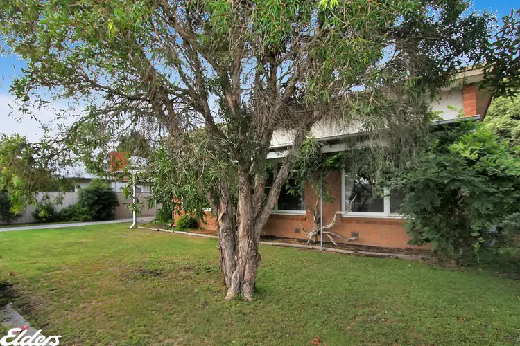 Main view of Homely house listing, 11 BRUCE STREET, Yarram VIC 3971