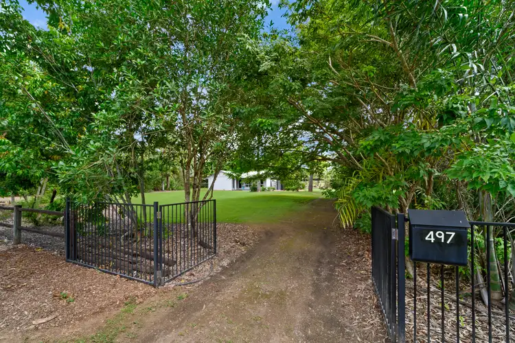 Second view of Homely house listing, 497 Forestry Road, Bluewater Park QLD 4818