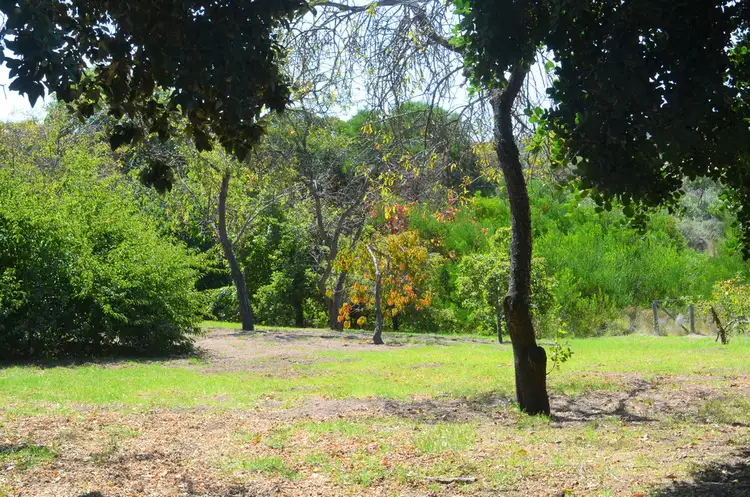 Second view of Homely rural property listing, 4241 Southern Ports Highway, Robe SA 5276