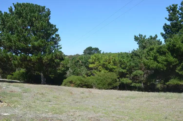 Fifth view of Homely rural property listing, 4241 Southern Ports Highway, Robe SA 5276